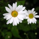 웃는아이소아청소년과의원 이미지