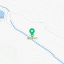 대암팜트리 이미지