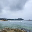 거진11리해변 이미지