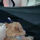 산들맘2 이미지