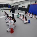 스타 익스트림 태권도 이미지