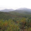 노귀재휴게소 이미지