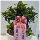 삼현초등학교 | 의정부논술학원에서 우리 아이 문해력 고민 해결했어요!