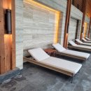 세이지우드 홍천산양목장 | 세이지우드 홍천 호텔 수영장 / 헬스장 / 산양목장 체험프로그램 / 산책로