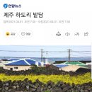문교화옥 | 하도리해녀민박