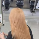하이유