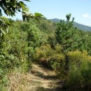 골약파출소 이미지