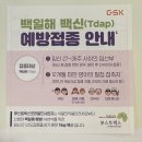 나의 첫 임신기록(1)ㅣ창원한마음병원 임신확인 및 주차별 검사
