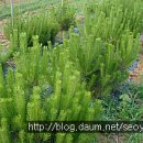 인영농장 이미지