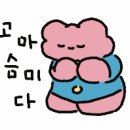 나이스토탈기획 | 소비요정의 소비기록 💸 ଘ꒰ ⑅ᑊ·̮ᑊ꒱◞ •*¨*•.¸¸ ‘9월 올리브영 세일’
