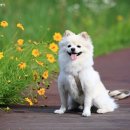 24시 고덕동물의료센터 이미지