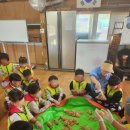 신진초등학교병설유치원 이미지