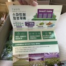 괜찮은 야채 팜