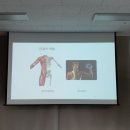 밸런스 바디디자인 이미지