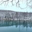 비에이 카카오 검색결과