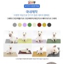 싸다구펫 이미지