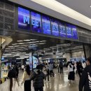 스트리트 컴플릿 | 극장판 스파이 패밀리 코드 : 화이트 메가박스 코엑스점 시사회 후기_쿠키영상_엔믹스, 은하, 유튜버