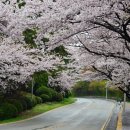 달맞이길 이미지