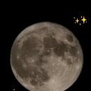 달을담다 이미지