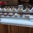 하레하레 이미지