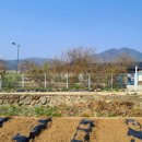 인제군서화면서화보건진료소 | 인제군 서화리 농가주택 매매 #인제군서화면주택