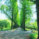 다보이는세상 이미지