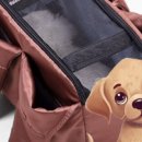 사천견생 이미지