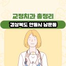 조해성치과의원 | 경상북도 안동시 남문동 교정치과 총정리