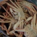 왜관ic실내바다낚시터 이미지