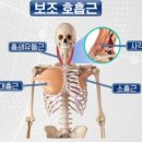어몽뎀 네이버블로그