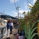 자산동주민센터 이미지