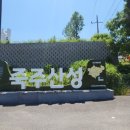 비봉산 의곡사 위(봉황숲) | [경기옛길스탬프]영남길 제8길 죽주산성길《화려한 고려문화의 향기, 죽주산성길》_20240605