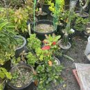 수원성첨성대한증막 이미지