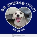 배방동물병원 네이버블로그