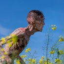 뉴 마인 하우스 이미지