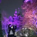 금남로 공원 이미지