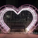 서천 장미공원 이미지