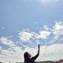 유구 핑크뮬리 아름다움에 - 박영재 댄스스포츠 전문학원 이미지