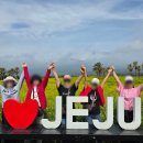 파도가머무는정원 | 제주도 카니발 투어 소규모 단체여행 후기