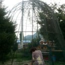 도계광업소의원 이미지