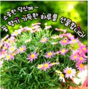 논현1-405 이미지