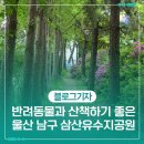 삼산유수지체육공원 배드민턴장 | 반려동물과 산책하기 좋은 울산 남구 삼산유수지공원