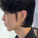 기분전환헤어샵 - 전주시 완산구 | 기분전환헤어샵