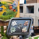 자갈자갈 이미지