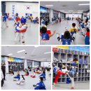 용인대 스타 청호 태권도 이미지