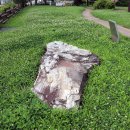 연천 고인돌공원 이미지