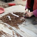 광일농원 이미지