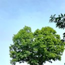 악양생태공원 이미지