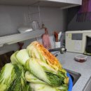 해남농장 | 해남 절임배추 20kg 김장 후기｜아르뫼농장 절임배추 솔직 리뷰