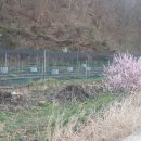 새들농장 이미지